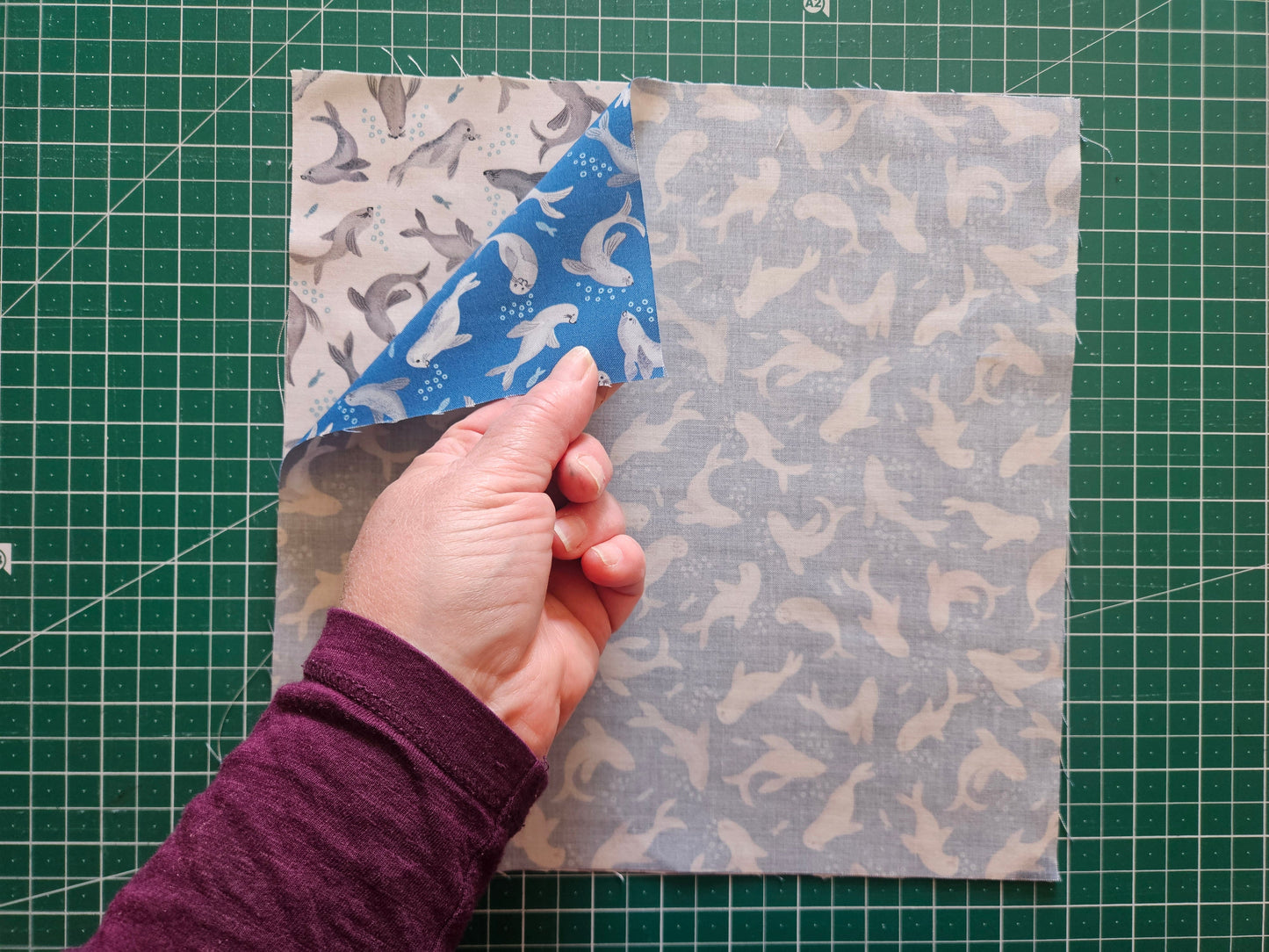 Quilt Top Kit for Patchwork & Quilting featuring the Puffin Rock collection by Lewis & Irene