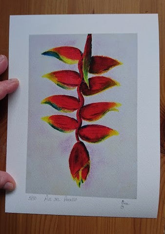 Limited Edition Print "Bird of Paradise" Flower - Heliconia". Fine Art Giclée print of the Exotic Tropical Flower from my original watercolour painting.