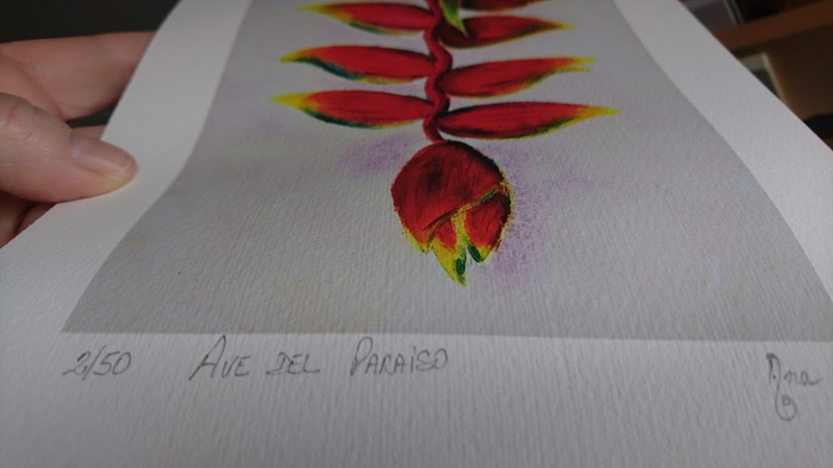 Limited Edition Print "Bird of Paradise" Flower - Heliconia". Fine Art Giclée print of the Exotic Tropical Flower from my original watercolour painting.