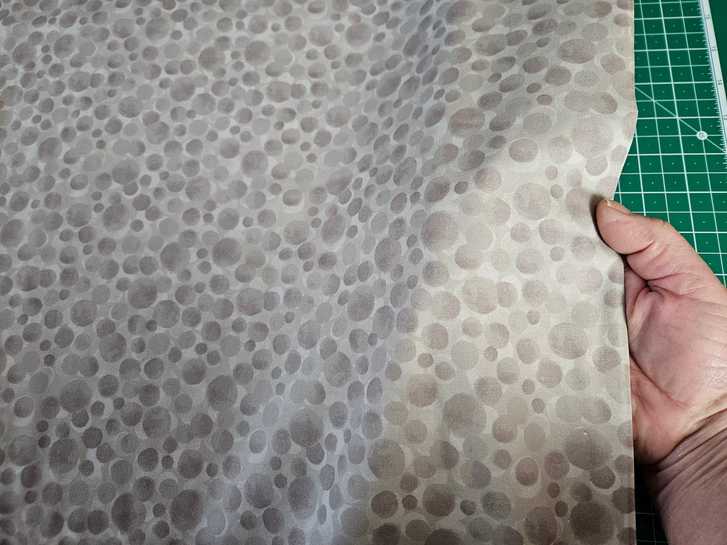 Extra Wide Width Backing for Quilts 108" 274 cm - Latte Bumbleberries Fabric Collection by Lewis & Irene