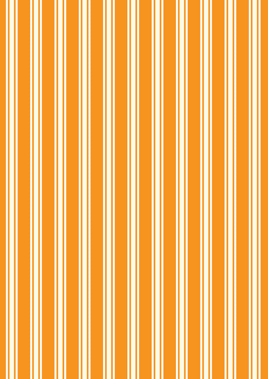 Terrifying Ticking Stripe on Halloween Orange (glow in the dark) - by Lewis & Irene