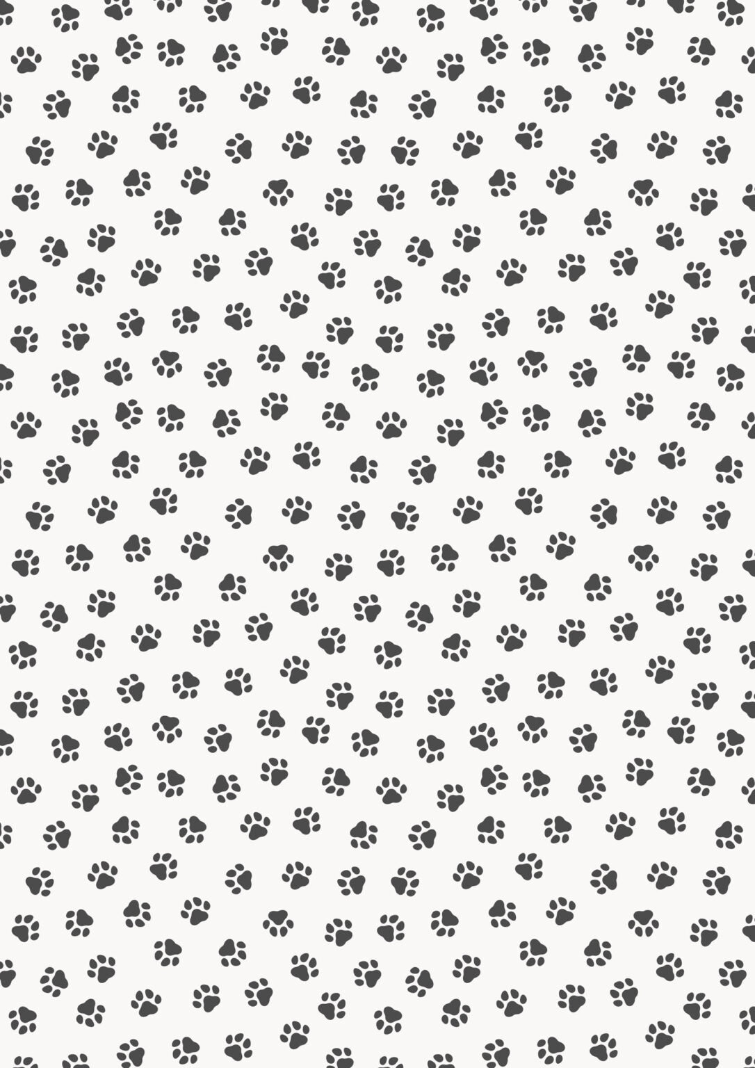 The Purrfect Book Club - Black on white paws - Collection by Lewis & Irene