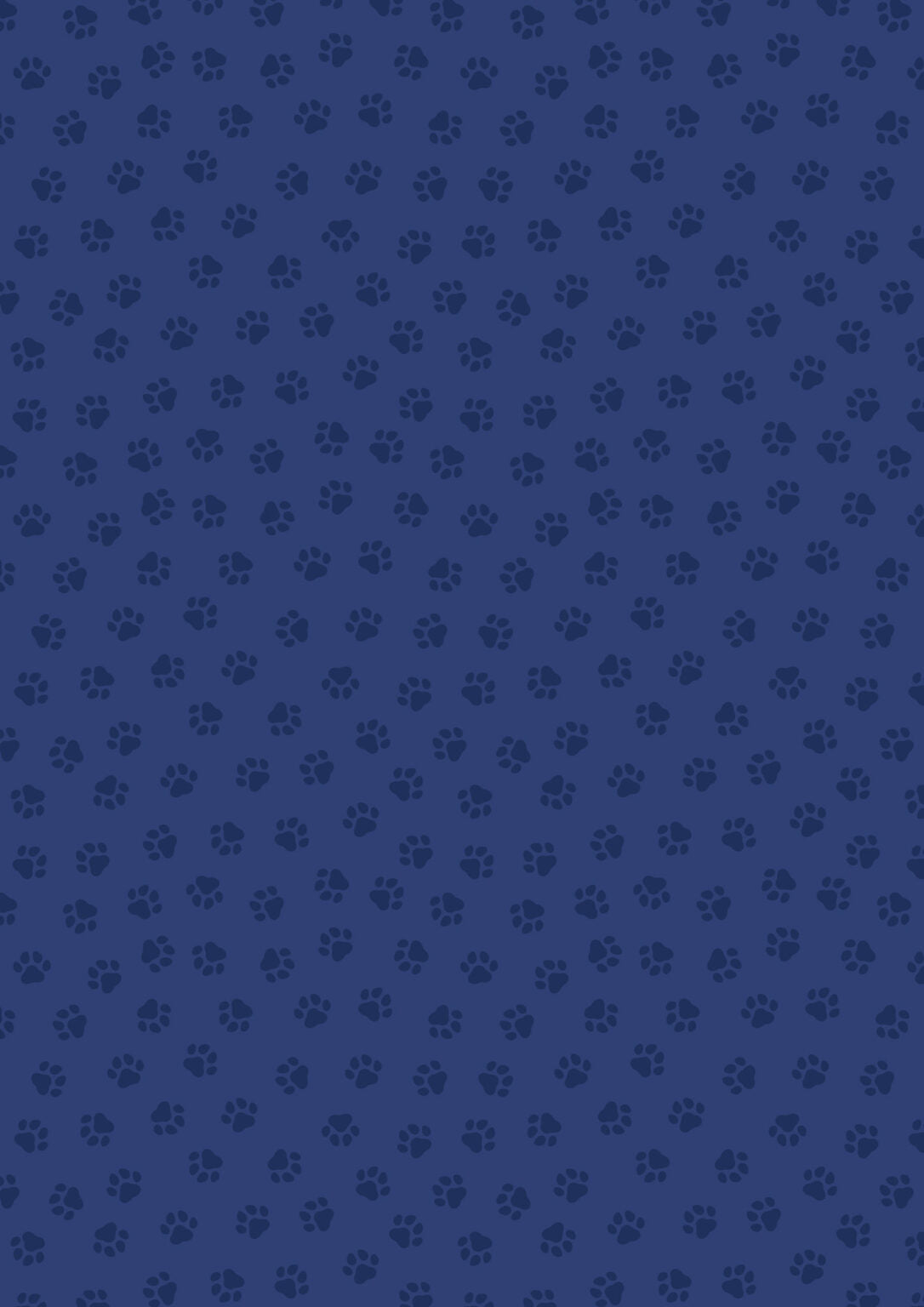 Quilt Top Kit 2 - The Purrfect Book Club designed by Sally Ablett for Lewis & Irene Fabrics, 66"x66"