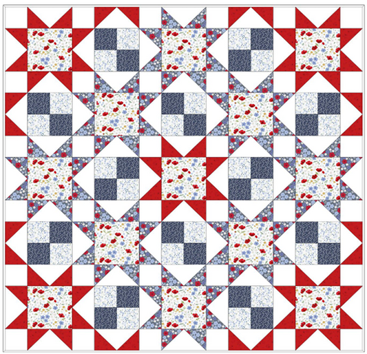 Forever Blooms Quilt Throw 1 designed by Sally Ablett - Lewis & Irene Size 48 x 48"